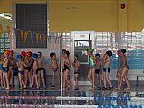 II Letnie Mistrzostwa Klubu MUKP Korona-Swim Kielce - pływanie