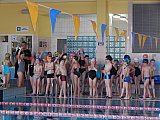 II Letnie Mistrzostwa Klubu MUKP Korona-Swim Kielce - pływanie