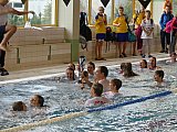 IV Memoriał Pływacki im. Grzegorza Kuczyńskiego - Sandomierz