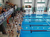 1 runda Świętokrzyskie - Już Pływam - Stasz&oacute;w