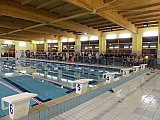 Bijemy Rekordy Korony-Swim Kielce 2019