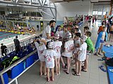 6 runda Małej Świętokrzyskiej Ligi Pływackiej - Ostrowiec Św.