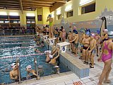 Bijemy Rekordy Korony-Swim Kielce 2019