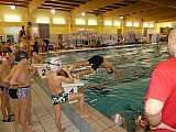 Bijemy Rekordy Korony-Swim Kielce 2019