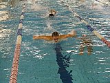Bijemy Rekordy Korony-Swim Kielce 2019