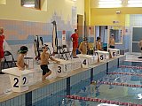 Bijemy Rekordy Korony-Swim Kielce 2019