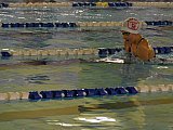 Bijemy Rekordy Korony-Swim Kielce 2019