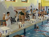 Bijemy Rekordy Korony-Swim Kielce 2019