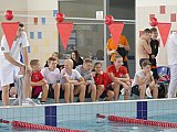 Og&oacute;lnopolskie Zawody Pływackie o Puchar Dyrektora MOSiR - Kielce